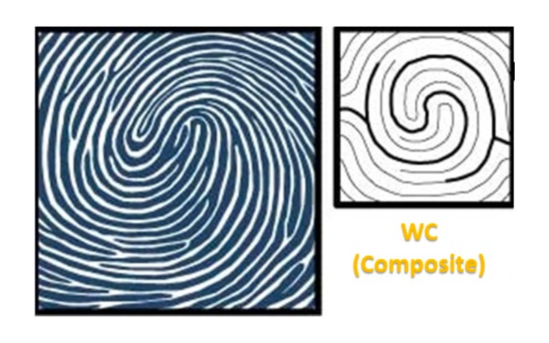 Nhóm vân tay WC (Whorl Composite) là một trong những nhóm vân tay thuộc đại bàng linh hoạt, đây là nhóm vân tay có thể giải quyết, gỡ rối vấn đề nhanh chóng