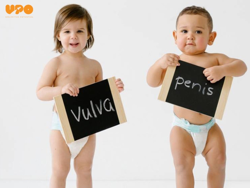 Cần dạy con giới tính từ sớm nhưng không nên vội vàng