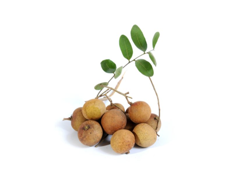 Nhãn cùi trắng, hạt đen, ngọt thơm ngày hè