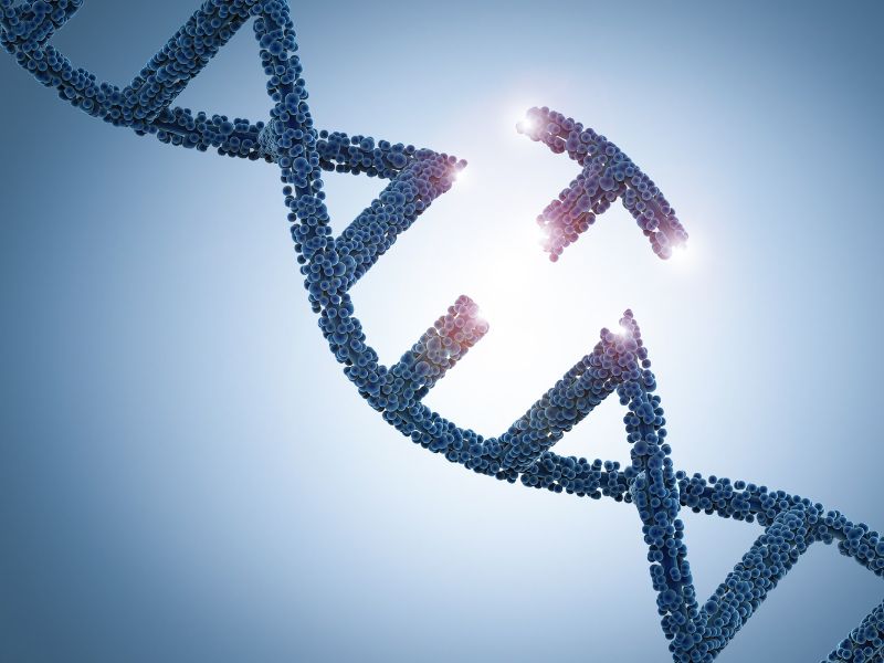 Di truyền là một trong những yếu tố quan trọng ảnh hưởng đến IQ