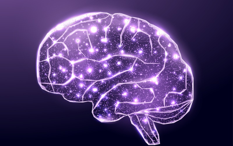 Chỉ số SQ (Spiritual Quotient) là chỉ số tâm linh biểu thị cho sự thông minh, trí tuệ dùng để giải quyết các vấn đề về ý nghĩa và giá trị