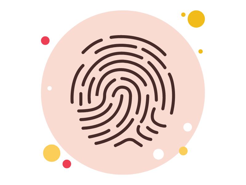 Đặc điểm của chủng vân tay Radial Loop