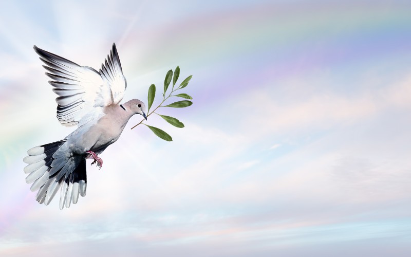 Người có chủng vân tay UL luôn hướng đến sự hòa hoãn, hòa bình, vì vậy họ thường trở thành người hòa giải trong những cuộc xung đột