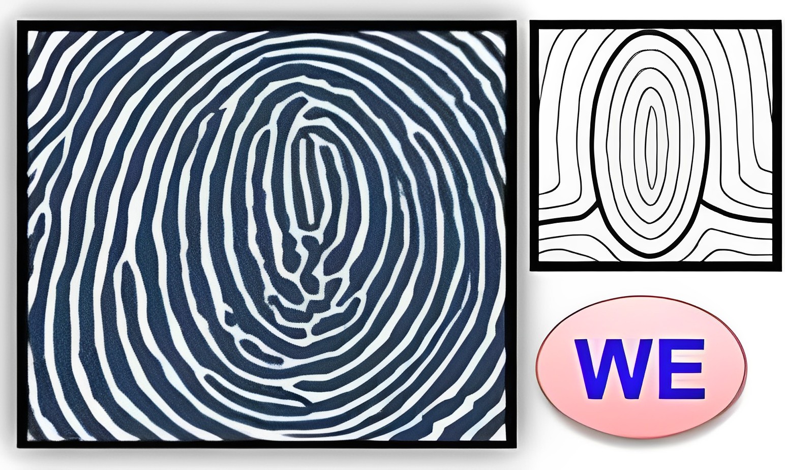 Viết tắt "WE" đại diện cho từ "Whorl and Extended", tiếng Anh có nghĩa là "hình xoắn và mở rộng"