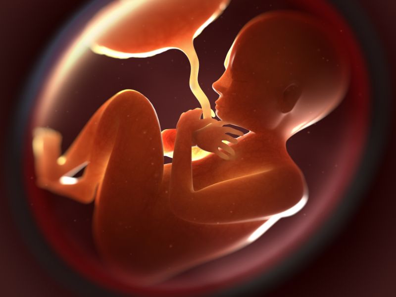 Dấu vân tay là gì? Thông tin thú vị có thể bạn chưa biết! 2 Vân tay được hình thành từ khi còn trong bào thai từ tuần thứ 13 đến tuần thứ 19 của thai kỳ