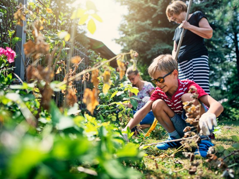 Làm vườn, nhổ cỏ là những công việc rất phù hợp cho trẻ, không những vậy, đây còn là một hoạt động vừa sức với trẻ và thông qua đó còn rèn luyện và vận động ngoài trời