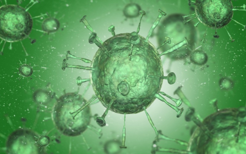 Khi trẻ vệ sinh cá nhân sạch sẽ có thể ngăn chặn và loại bỏ những vi khuẩn, virus có hại gây ảnh hưởng đến da và cơ thể của trẻ