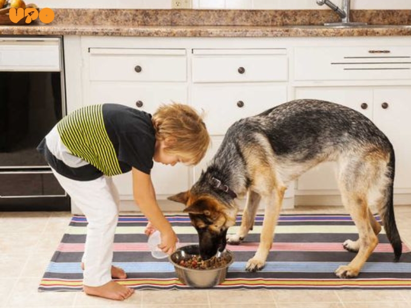 Tạo cuộc thi nhỏ giữa các thành viên trong gia đình để khuyến khích trẻ tham gia vào công việc nhà