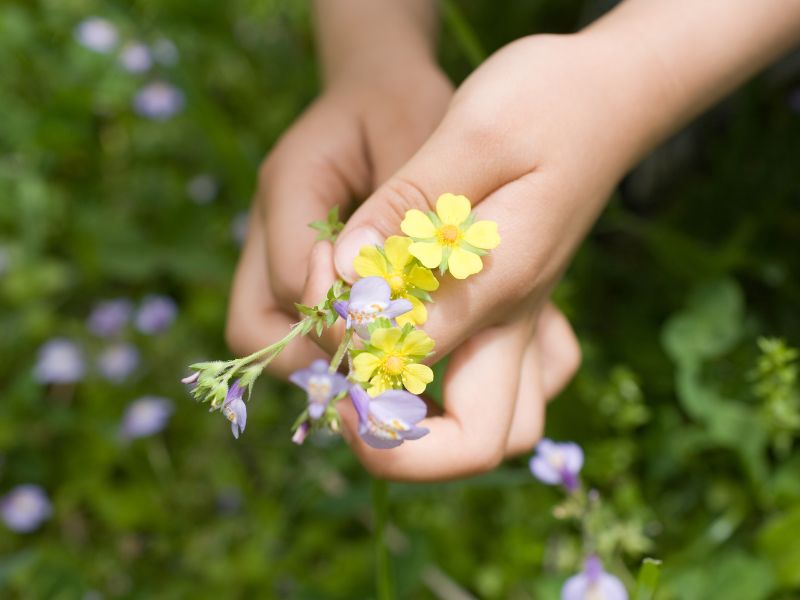 Không khuyến khích trẻ làm những hành động xấu làm ảnh hưởng tới môi trường thiên nhiên.