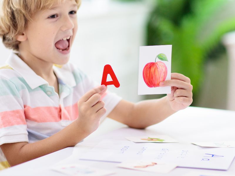 Bộ sản phẩm bao gồm 14 chủ đề về thế giới quan bên ngoài như: nghề nghiệp, màu sắc, hình khối,...