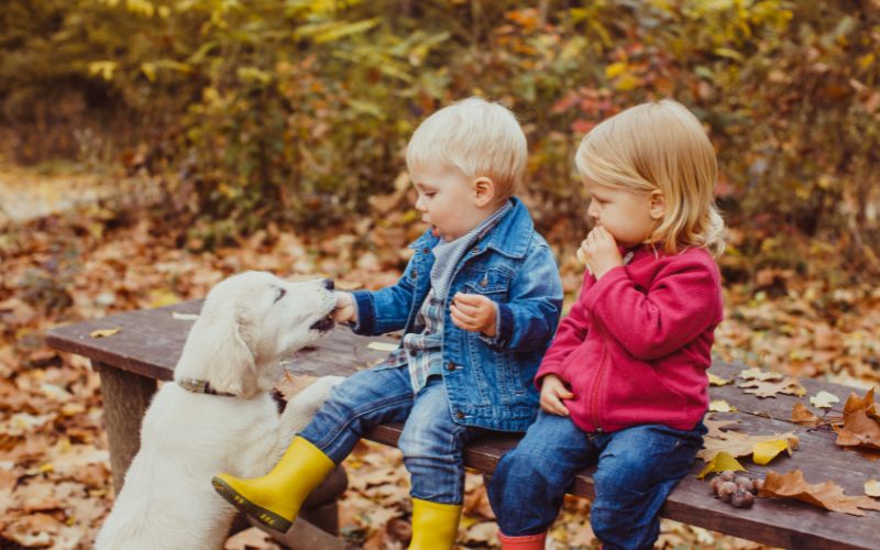 Giáo dục cảm xúc và xã hội ( SEL) là việc trẻ có được những kỹ năng từ đó ứng dụng vào thực tế, biết thể hiện sự quan tâm và chăm sóc đến người khác