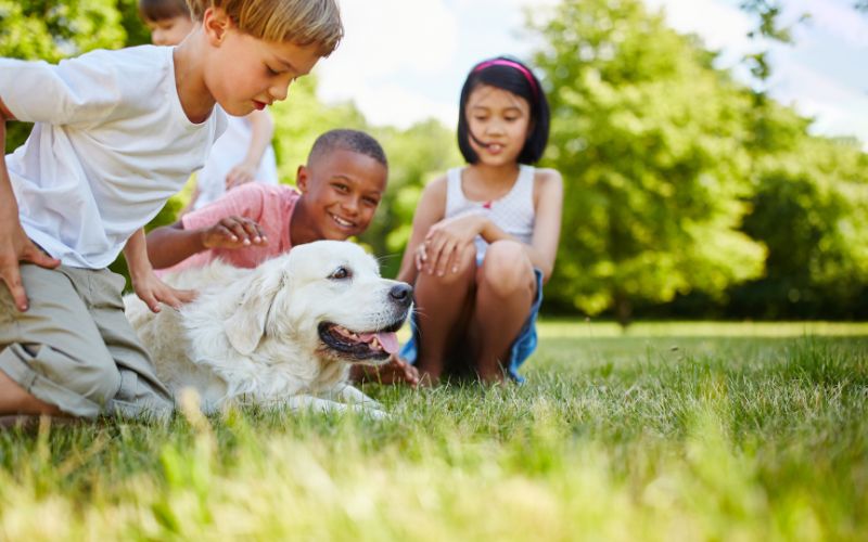 Bố mẹ hãy dạy bé cách yêu thương và đồng cảm