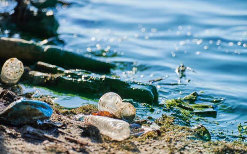 Nguồn nước ô nhiễm hiện nay ảnh hưởng nghiêm trọng đến cuộc sống