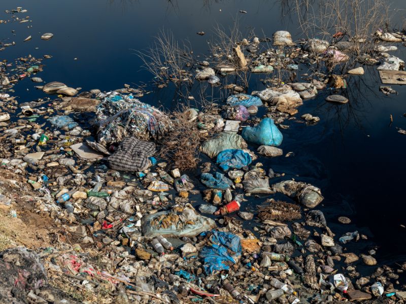 Giải thích cho trẻ hiểu tác hại của việc vứt rác bừa bãi rất nghiêm trọng