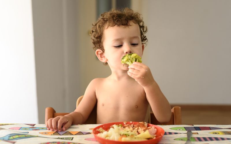 Một số bé khi còn quá nhỏ còn chưa ý thức được nhiều nên còn dùng tay bốc đồ ăn