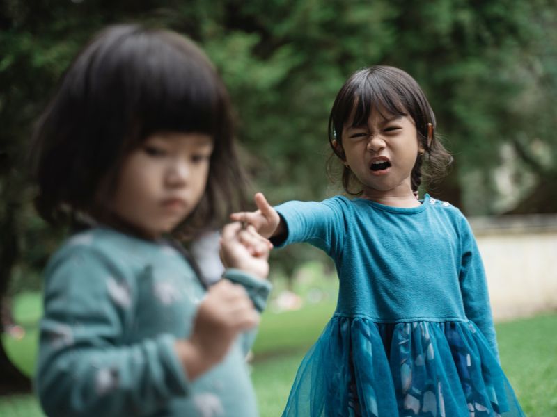 Trẻ em thường ghi nhớ mối thù với người khác và với suy nghĩ non nớt của trẻ, trẻ sẽ dùng việc mách lẻo để trả thù