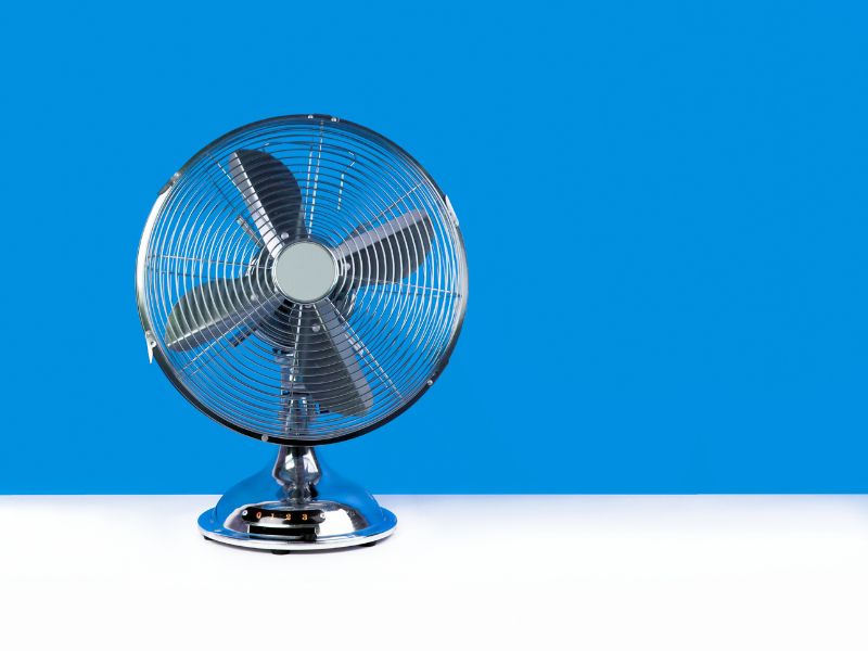 Quạt là vật dụng không thể thiếu vào mùa hè