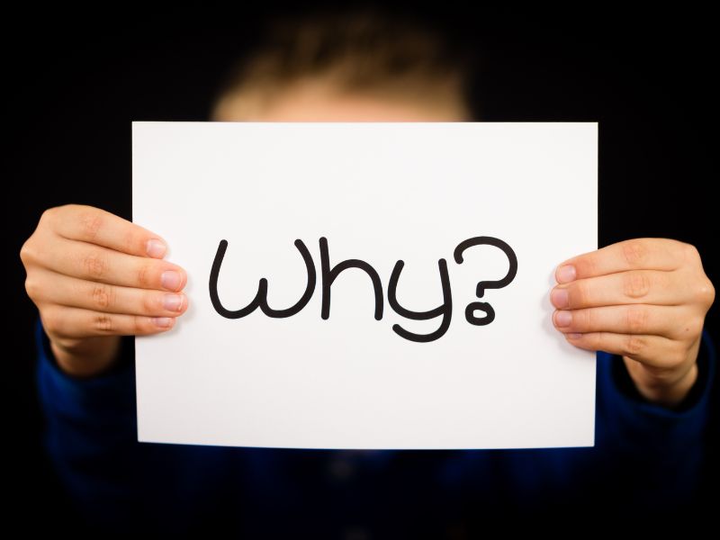 Trẻ đặt ra nhiều câu hỏi liên tục cho sự thắc mắc của mình