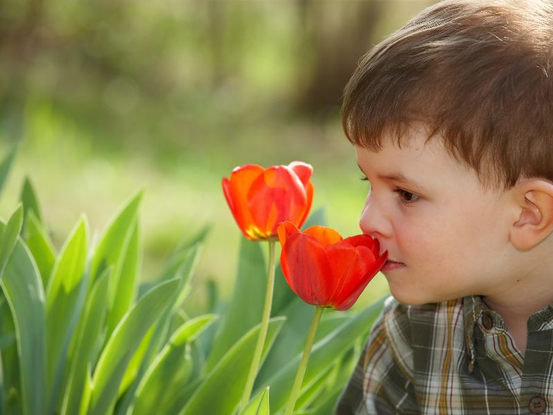 Trẻ em thích ngửi mọi thứ để khám phá và tìm hiểu về nó, nhất là đồ có mùi thơm