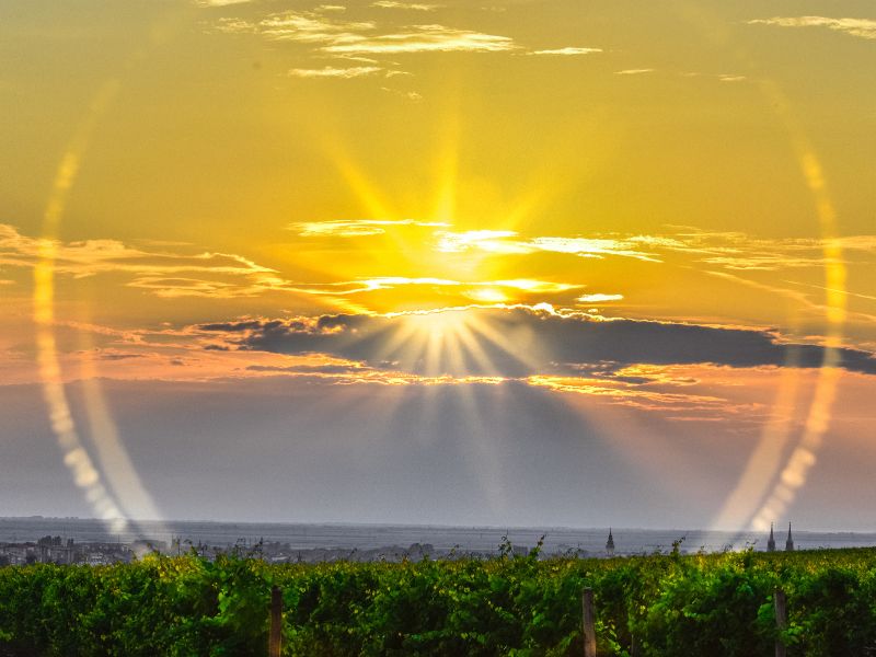 Phát triển các kỹ năng quan sát có thể giúp chúng ta "bắt gặp cái đẹp"