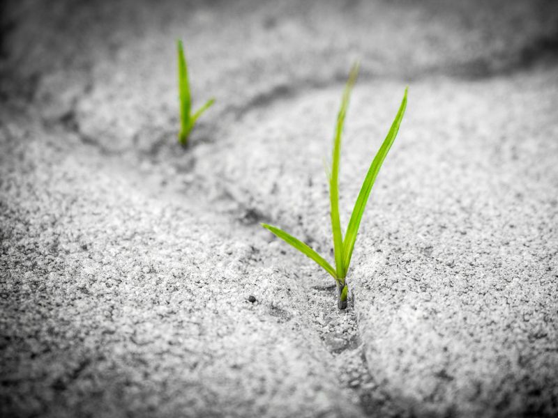 ren luyen su kien tri cho tre ava