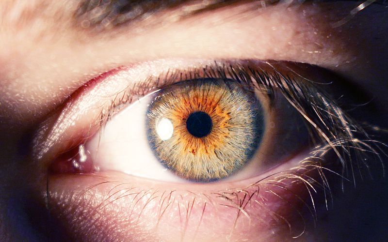 Sinh trắc học là gì? TẤT TẦN TẬT thông tin về sinh trắc học 6 Vị trí của mống mắt