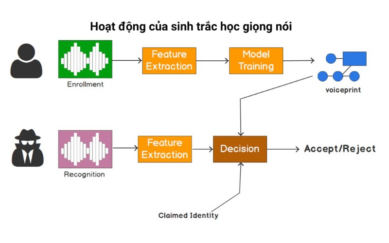 Sinh trắc học giọng nói là gì? TỔNG QUAN thông tin từ A - Z 3 Hoạt động của sinh trắc học giọng nói