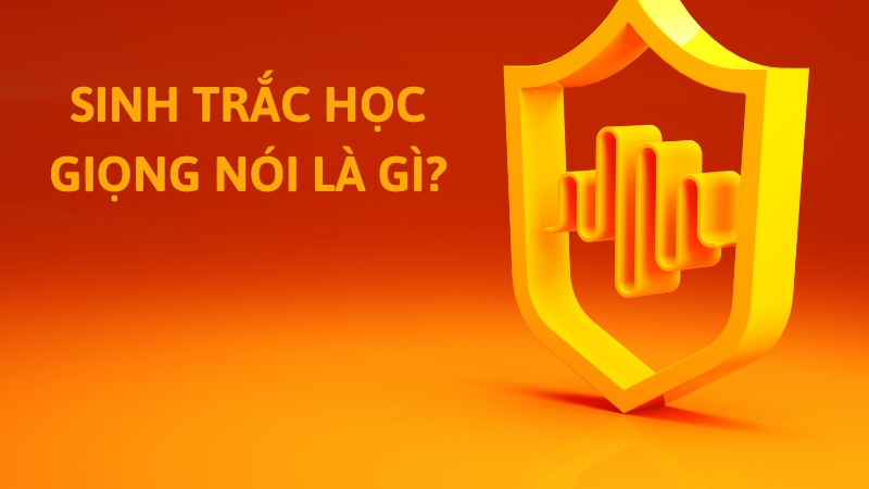 Sinh trắc học giọng nói là gì? TỔNG QUAN thông tin từ A - Z 1 sinh trac hoc giong noi