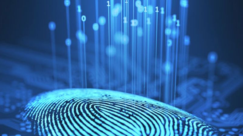 sinh trắc vân tay bắt nguồn từ đâu