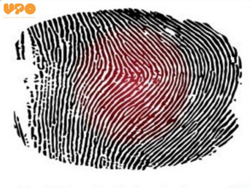 sinh trac van tay chung as 0