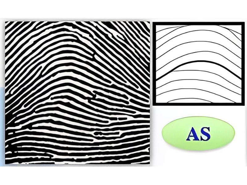 Sinh trắc vân tay chủng AS là một trong những chủng vân tay hiếm trên thế giới, và AS viết tắt của từ "Simple Arch" - một dạng vân tay được phân loại dựa trên hình dáng và cấu trúc của núi