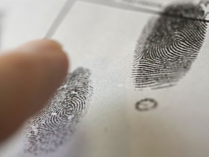 sinh trắc vân tay hà nội