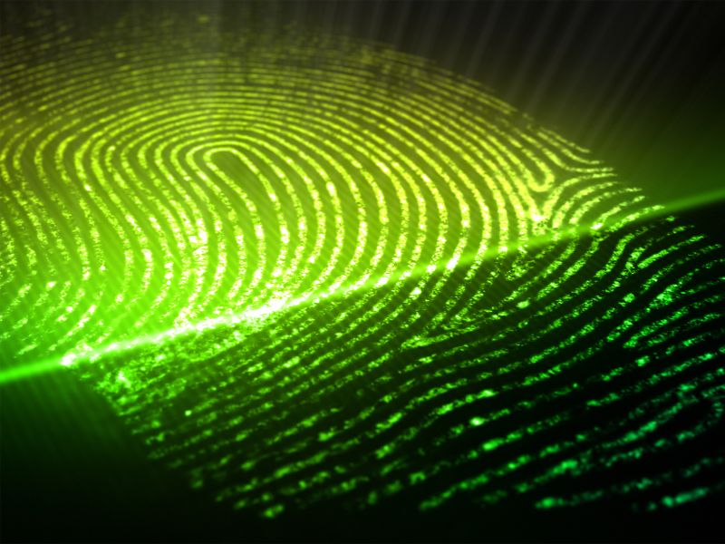 sinh trắc vân tay nha trang