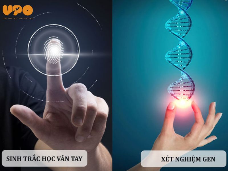 sinh trắc vân tay và giải mã gen