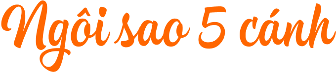 Triết lý đào tạo