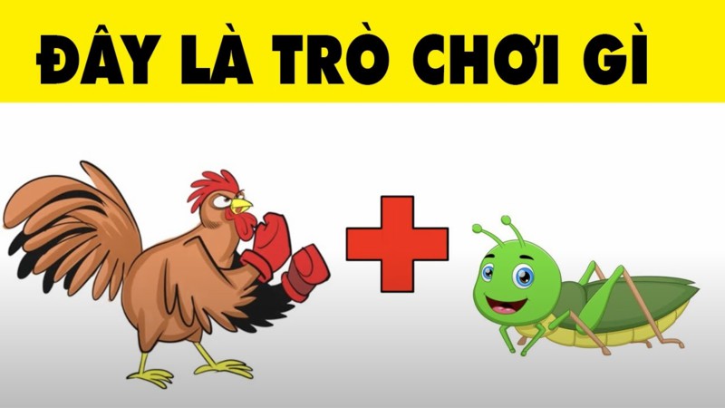 Ba mẹ căn dặn bé đọc kỹ hướng dẫn của từng trò chơi giải câu đố để hiểu cách chơi và các quy tắc đặc biệt liên quan.