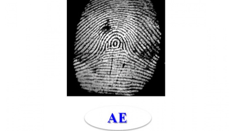 vân tay ae