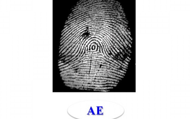 Nhóm vân tay AE là nhóm vân lai giữa 2 chủng vân tay là chủng núi và chủng đại bàng, hình dạng như vân tay đại bàng, xung quanh là một ngọn núi với ở giữa là một vòng xoáy