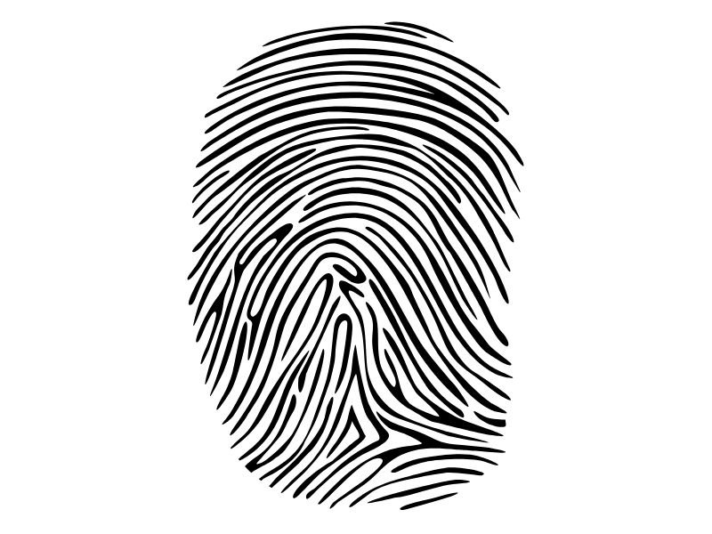 vân tay chủng núi