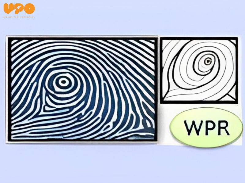 Chủng vân tay WPR là viết tắt của "Whorl Patternless Right Loop"