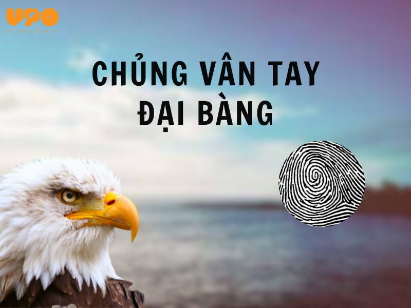 vân tay đại bàng